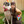 Great Dane Examiner