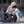 Assistance Dogs Aust