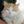 CatLady Bert
