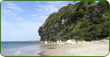 Waratah-Wynyard