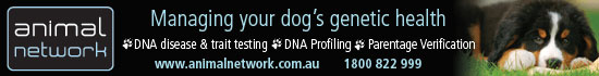 Animal Network Horizontal S