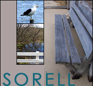 Sorell Council