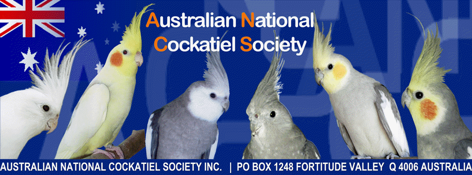 ANCS Banner