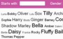 Cat Naming Tool