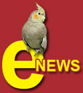 e-news