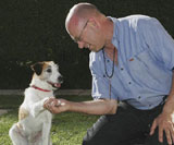 Teach your dog to shake hands