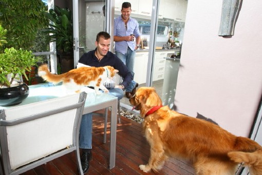 Pet-friendly Housing
