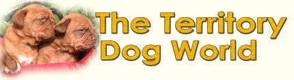 TDW Logo