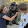Children love their pets