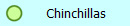 Chinchillas