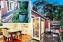 3/5 Morey Road, Camberwell, benefited from a makeover than included Merbau decking, planting and fence painting.