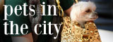 pitc small logo