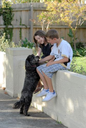 Pets teach kids new tricks