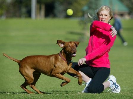 Playing Ball at the Park