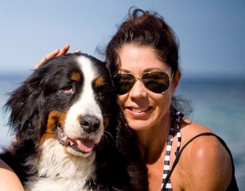 Bernese Dog at the Beach
