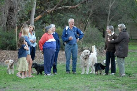 Dog Park