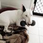 Harry dont take my toy