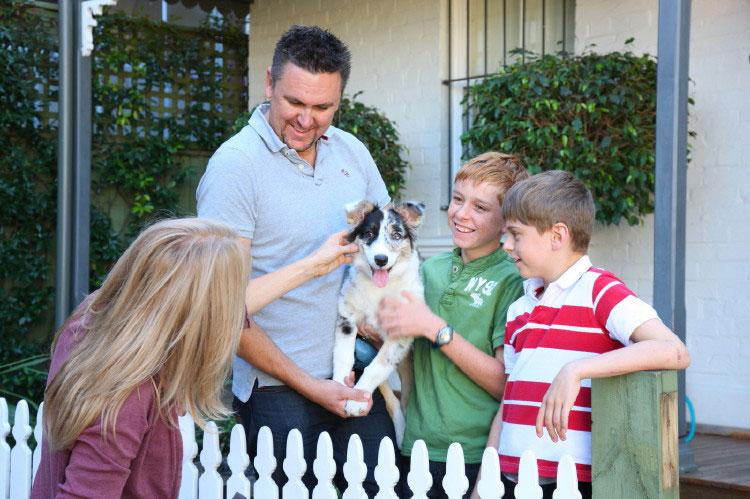 Dog with Owner