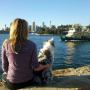 Dogs enjoy a change of scenery