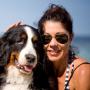 Bernese Dog at the Beach