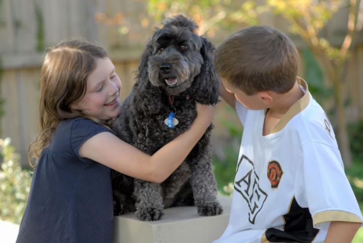 Children love their pets