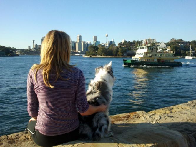 Dogs enjoy a change of scenery