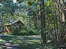 View of a secluded rainforest cabin 