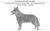 Australian Cattle Dog