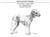 Bedlington Terrier