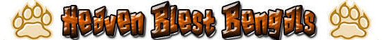 Welcome to heavenblest-bengals.com
