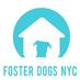 Foster Dogs NYC