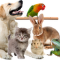 AnimalsReview