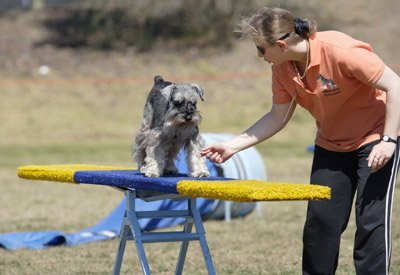 AGILITY-seesaw2