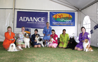 JUNIOR-HANDLERS-spring-fair-sat-09-152