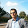 Foto profil Hamed Khademi