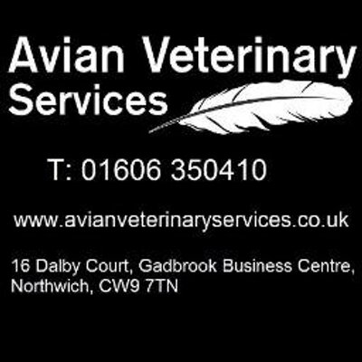 AvianVets